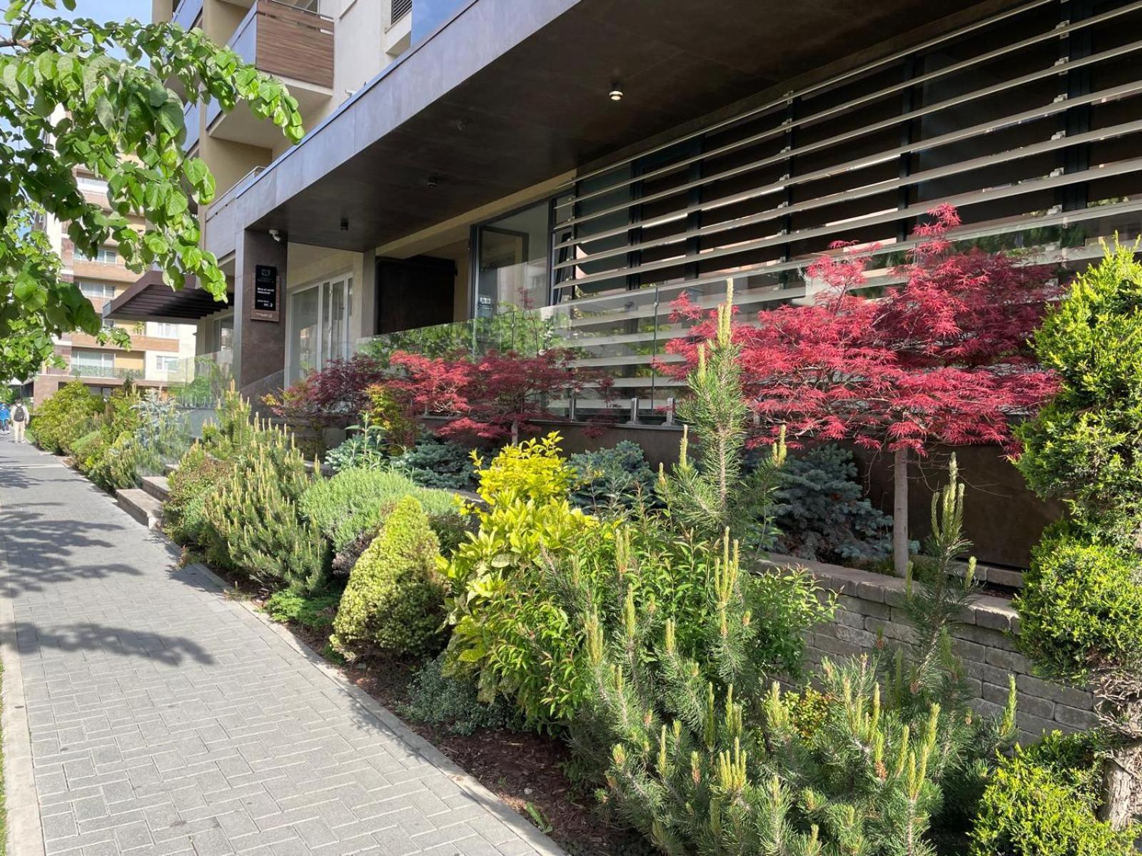 Alto Studio & Free Private Parking Braşov Exterior foto